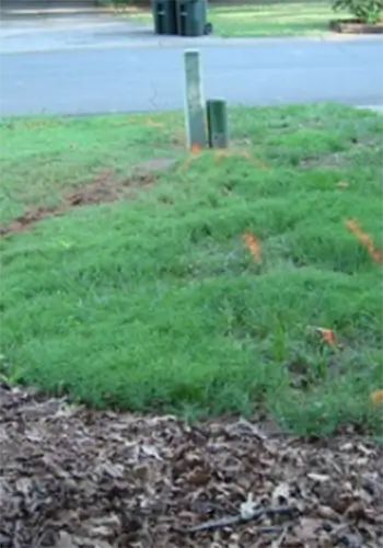 Water Line Repair